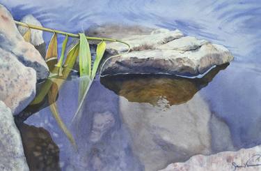 Original Realism Nature Paintings by Samira Yanushkova
