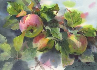 APPLES ON A BRANCH - still life watercolor painting on watercolour paper original decor for interior kitchen and dining room. thumb