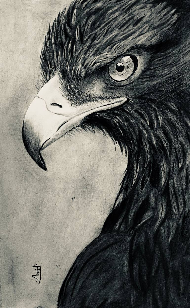 Eagle eye Drawing by Amit Singh | Saatchi Art