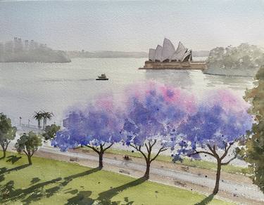 Sydney harbour - opera house with jacaranda thumb