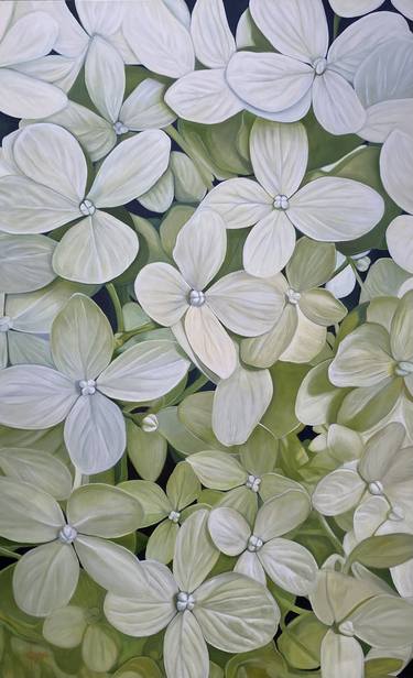 Hydrangeas “Ascending” thumb