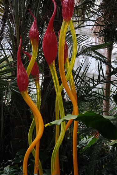 Glass Flowers Spring Flower Show thumb