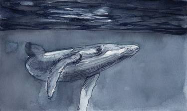Whale 2 thumb