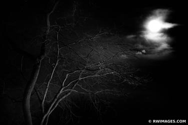 MOON DARK IMPRESSIONISM BLACK AND WHITE Extra Large Signed Print thumb