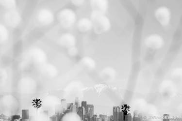 SPRING WILDFLOWERS SKYLINE LOS ANGELES Extra Large Signed Print thumb