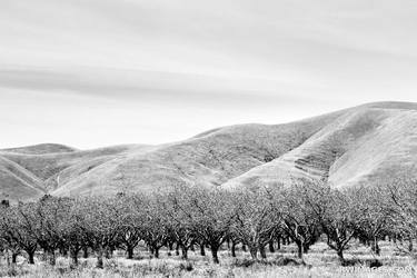 ANTELOPE VALLEY BLACK AND WHITE Extra Large Signed Print thumb