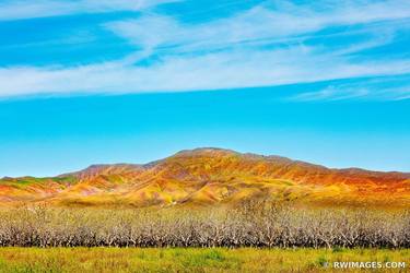 ANTELOPE VALLEY CALIFORNIA Extra Large Signed Print thumb