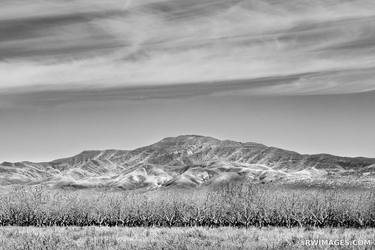 ANTELOPE VALLEY BLACK AND WHITE Extra Large Signed Print thumb