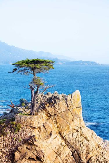 LONE CYPRESS PEBBLE BEACH Extra Large Signed Print thumb