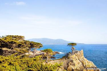 LONE CYPRESS CARMEL BY THE SEA Extra Large Signed Print thumb