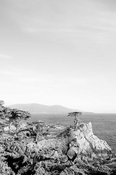 LONE CYPRESS BLACK AND WHITE Extra Large Signed Print thumb