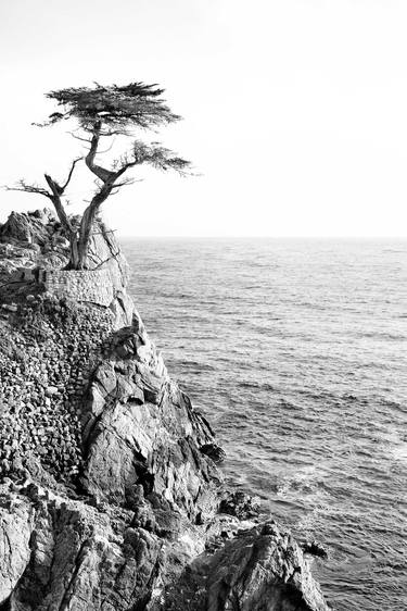 LONE CYPRESS BLACK AND WHITE Extra Large Signed Print thumb