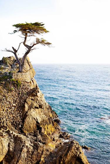 LONE CYPRESS PEBBLE BEACH  Extra Large Signed Print thumb