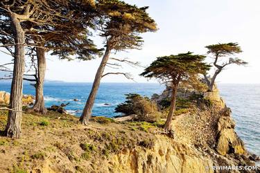 PEBBLE BEACH CARMEL BY THE SEA Extra Large Signed Print thumb