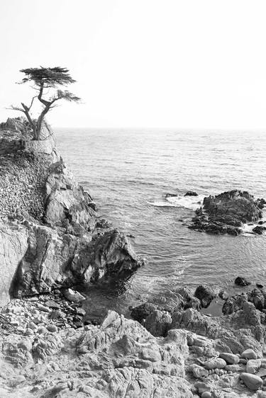 LONE CYPRESS BLACK AND WHITE VERTICAL Extra Large Signed Print thumb