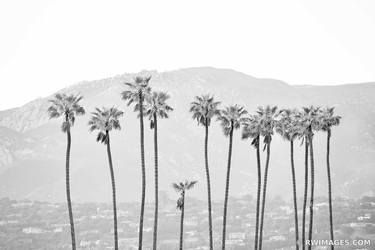 PALM TREES SANTA BARBARA BLACK AND WHITE Extra Large Signed Print thumb