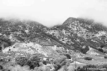 FOGGY HILLS OJAI VALLEY BLACK AND WHITE Extra Large Signed Print thumb