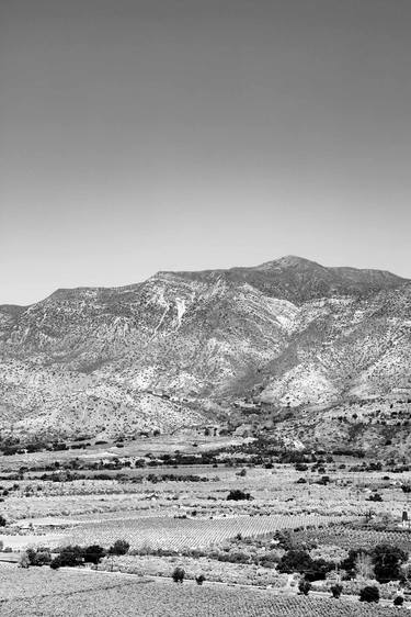 OJAI VALLEY CALIFORNIA BLACK AND WHITE Extra Large Signed Print thumb