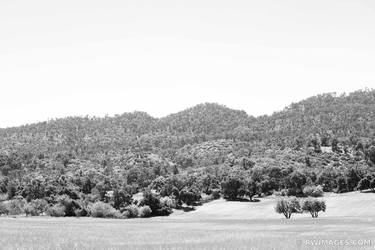 OJAI VALLEY CALIFORNIA BLACK AND WHITE Extra Large Signed Print thumb