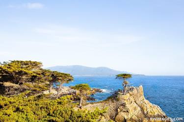 LONE CYPRESS PEBBLE BEACH FINE ART PHOTOGRAPHY thumb