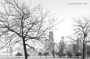 CHICAGO LINCOLN PARK IN WINTER BLACK AND WHITE CITYSCAPE PHOTOGRAPHY - Limited Edition 1 of 100 thumb