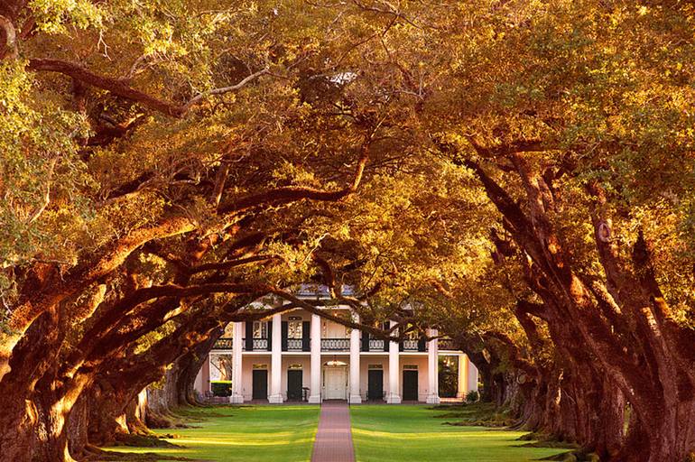 OAK ALLEY PLANTATION NEAR NEW ORLEANS LOUISIANA BLACK AND WHITE PHOTOGRAPHY  - Limited Edition 1 of 100 Photography by Robert Wojtowicz