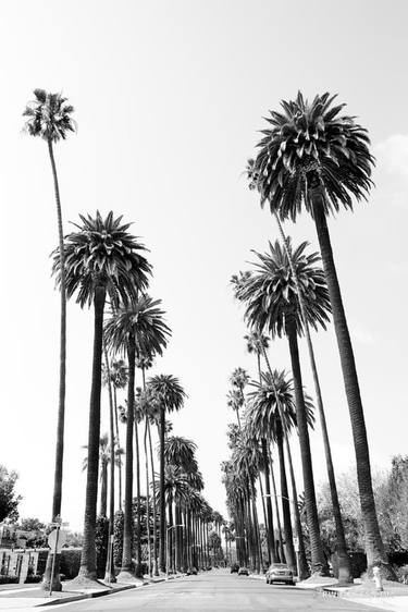 BEVERLY HILLS CALIFORNIA STREET WITH PALM TREES BLACK AND WHITE VERTICAL - Limited Edition of 100 thumb