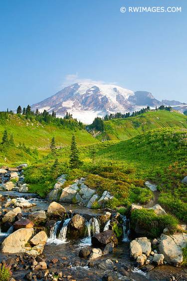 MOUNT RAINIER WASHINGTON PACIFIC NORTHWEST MOUNTAINS VERTICAL LANDSCAPE COLOR - Limited Edition of 100 thumb