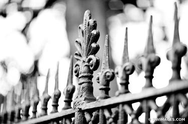 ORNAMENTAL CAST IRON FENCE FRENCH QUARTER NEW ORLEANS BLACK AND WHITE - Limited Edition of 100 thumb