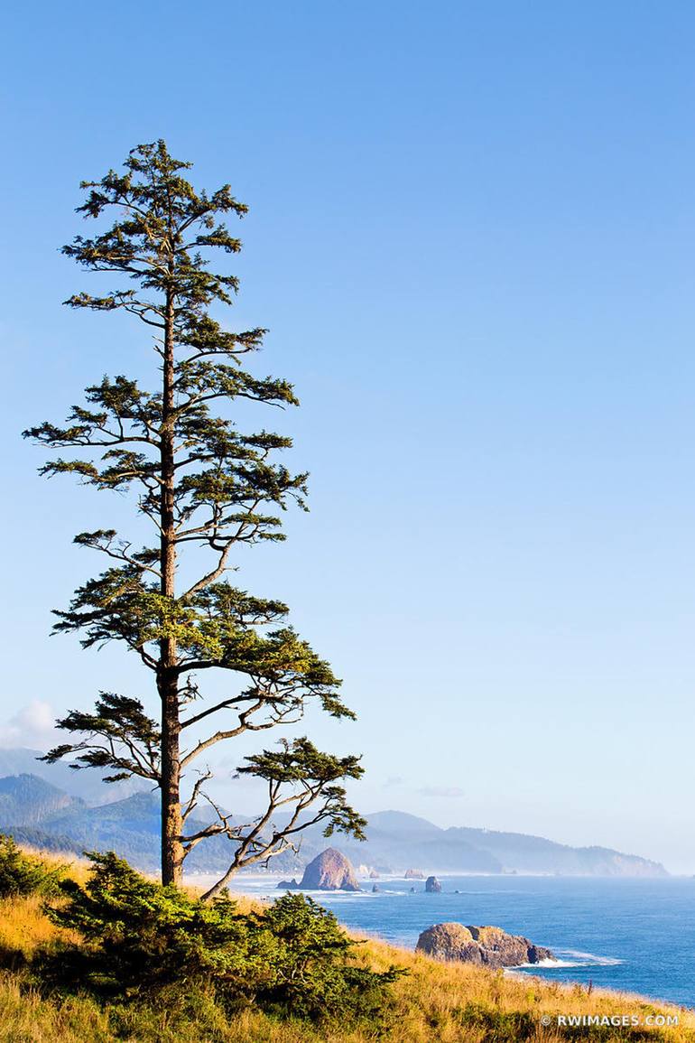 ECOLA STATE PARK AND CANNON BEACH OREGON COAST PACIFIC NORTHWEST ...