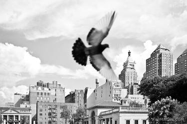 SOHO MANHATTAN NEW YORK CITY BLACK AND WHITE - Limited Edition of 111 thumb
