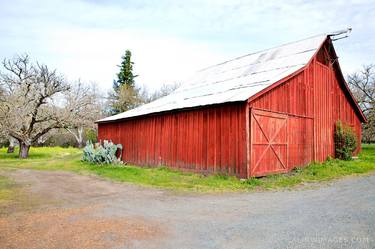 RED BARN NAPA VALLEY CALIFORNIA - Limited Edition of 111 thumb