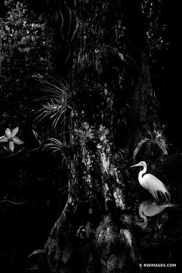 Original Nature Photography by Robert Wojtowicz