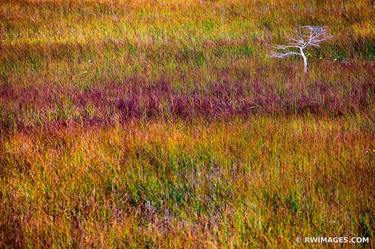 Original Nature Photography by Robert Wojtowicz