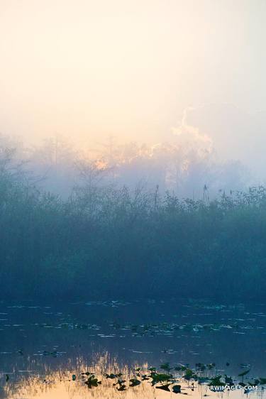 BEFORE SUNRISE ANHINGA TRAIL EVERGLADES NATIONAL PARK FLORIDA COLOR VERTICAL LANDSCAPE - Limited Edition of 111 thumb