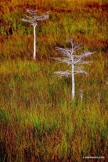 Original Nature Photography by Robert Wojtowicz