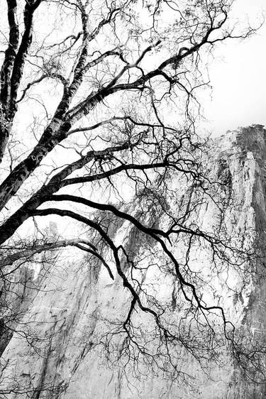 YOSEMITE NATIONAL PARK CALIFORNIA BLACK AND WHITE - Limited Edition of 55 thumb