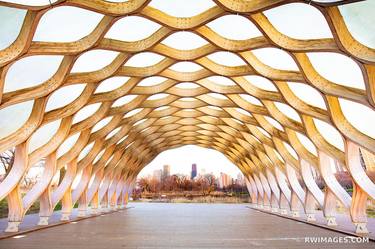 CURVACEOUS WOOD PAVILION HONEYCOMB STRUCTURE SOUTH LINCOLN PARK CHICAGO ILLINOIS COLOR - Limited Edition of 55 thumb