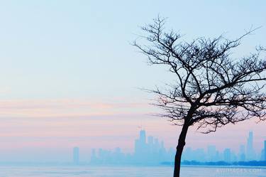BLUE CHICAGO COLD WINTER MORNING CHICAGO SKYLINE WITH BARE TREE - Limited Edition of 55 thumb