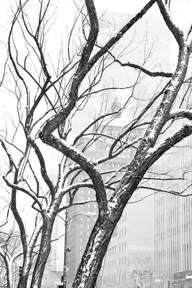 MICHIGAN AVENUE WINTER DAY HEAVY SNOWFALL CHICAGO ILLINOIS BLACK AND WHITE - Limited Edition of 55 thumb