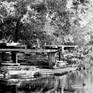 view additional image 1