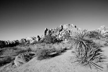 HIDDEN VALLEY JOSHUA TREE NATIONAL PARK CALIFORNIA BLACK AND WHITE - Limited Edition of 55 thumb