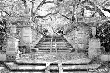 OLD GARDEN STONE STAIRS VILLA VIZCAYA MUSEUM AND GARDENS COCONUT GROVE MIAMI FLORIDA BLACK AND WHITE - Limited Edition of 100 thumb