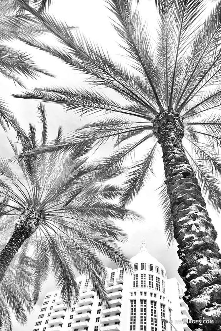 Ralph Lauren, Miami Beach  Art deco architecture, Beach art, Miami beach