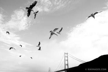 SEAGULLS SUNSET GOLDEN GATE BRIDGE SAN FRANCISCO BLACK AND WHITE - Limited Edition of 100 thumb