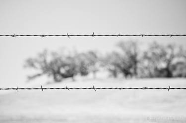 BARBED WIRE RANCH SANTA BARBARA COUNTY CALIFORNIA BLACK AND WHITE - Limited Edition of 100 thumb