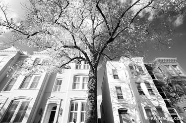 HISTORIC GEORGETOWN ARCHITECTURE WASHINGTON DC BLACK AND WHITE - Limited Edition of 125 thumb