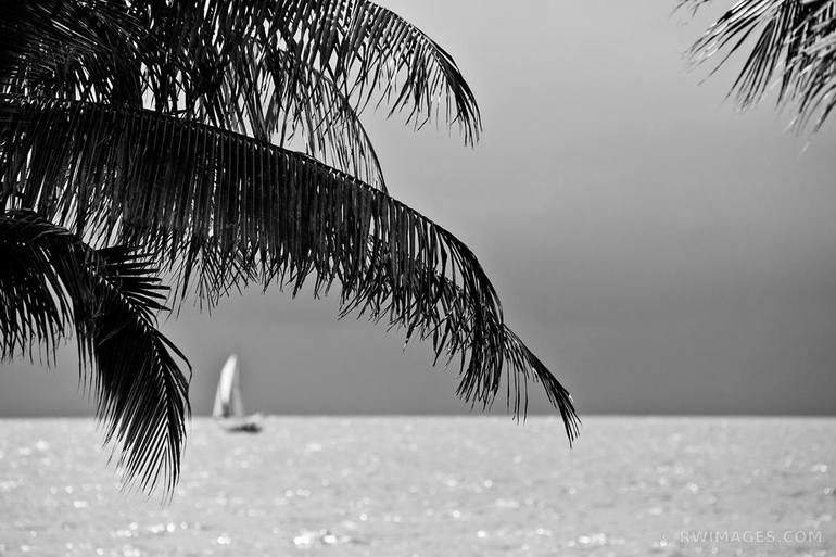 KEY WEST FLORIDA BLACK AND WHITE PRINT Photography by Robert Wojtowicz ...