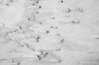 BEACH ALPHABET | NATURE ABSTRACT WHITE SAND PATTERNS CUMBERLAND ISLAND GEORGIA BLACK AND WHITE - Limited Edition of 100 thumb