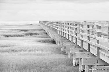 BASS HOLE BOARDWALK GRAYS BEACH YARMOUTH CAPE COD MASSACHUSETTS BLACK AND WHITE - Limited Edition of 100 thumb
